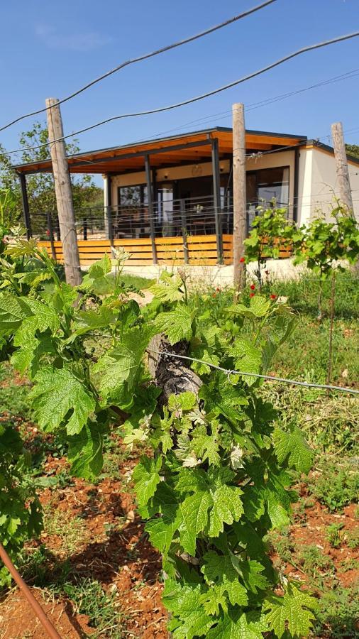 Collis Winery - Family & Friends - Mobilhome Rovinj Exteriér fotografie