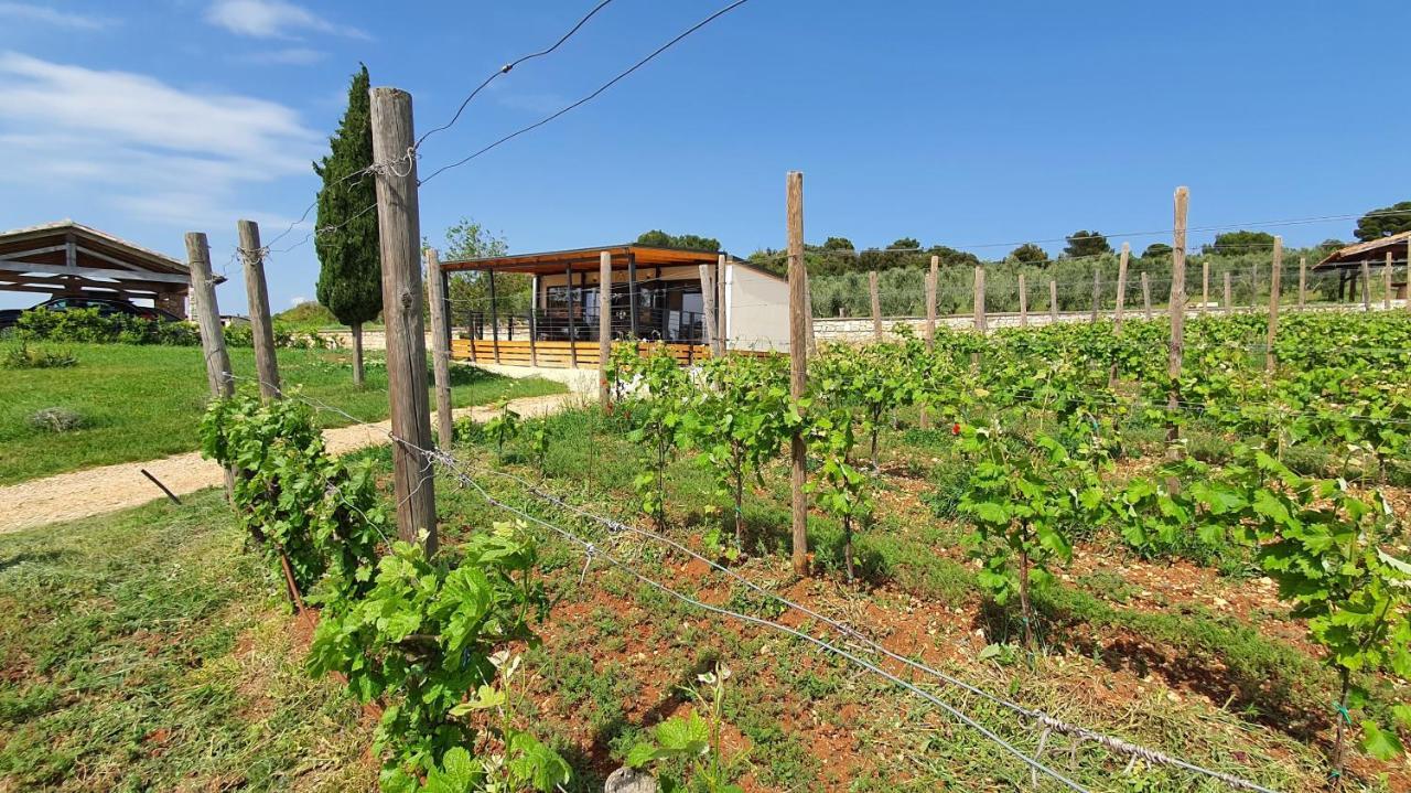 Collis Winery - Family & Friends - Mobilhome Rovinj Exteriér fotografie